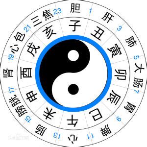 子時出生的人|算命時辰中的子時說明